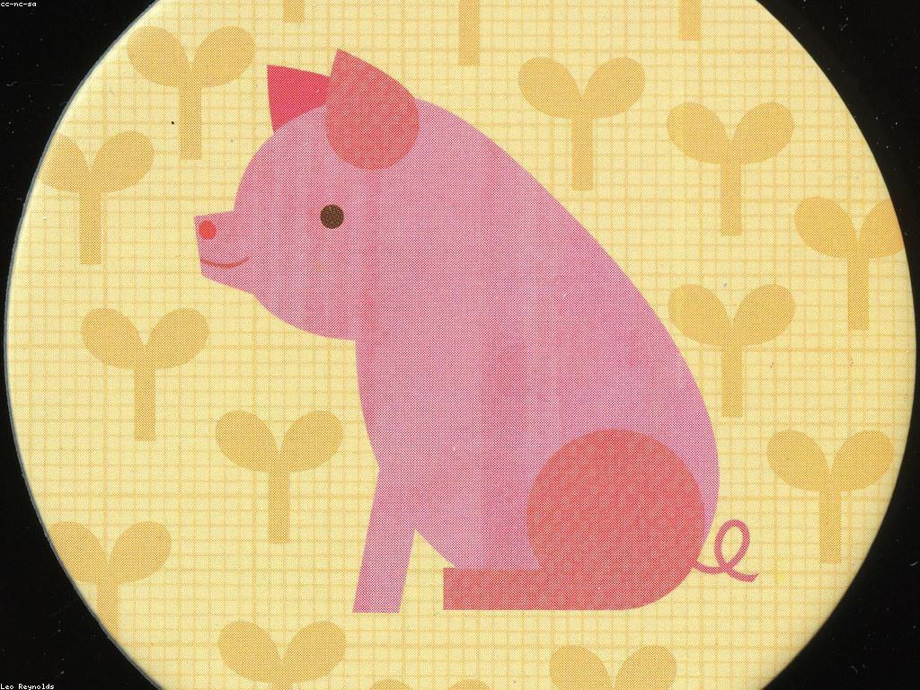 ហ្គេមកាតអនឡាញ: ការប្រកួតកាតក្នុងពិភពឌីជីថល